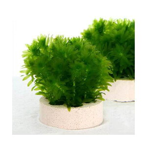 ij_JE@Y@njJVF^[@AiJX@~ji1j