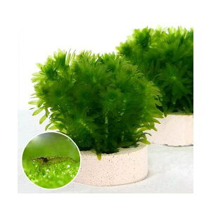 iGrjijnjJVF^[@AiJX@~ji1j{~i~k}Gri10Cj