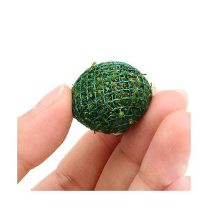 ijā@EB[X@~bNX@{[itji_ji5j