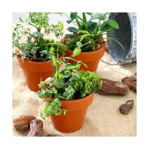 iϗtAjeRb^vc@~j@܂2~bNXi1j@A@@@v[g