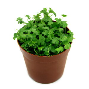 ijI[XgA@m`hitjAi_ji3j