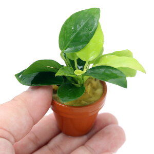 ijAkrAXiiS[f@v`fĂitji1j