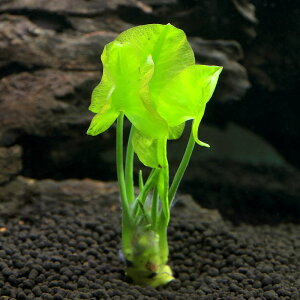 ijTCRNqREzl@s3`10cmitji_ji1j