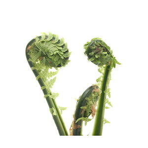 iR쑐jV_irjRS~iNT\ecj@3`4i3|bgZbgjƒ؉@R؁ixԁj