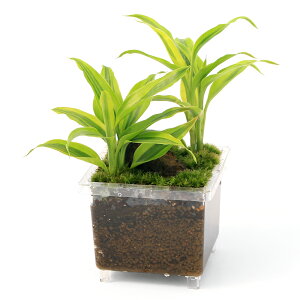 ieEjroEp@̂@VerDa뉀i_ji1j@kCEBq֗vۉ