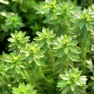 ijX^[W@TpEitji_ji5{j