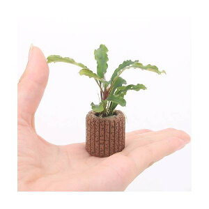 ijCt}`ijuZt@hspDO[EF[r[itji1j@kCEBq֗vۉ