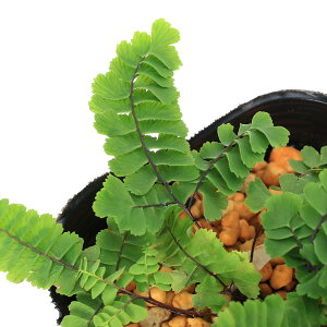 iR쑐jV_irjqNWNV_@3i1|bgjΐN