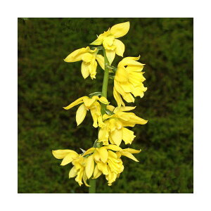 iR쑐jGrliCVjGrliCVj@3D5i1|bgjixԁj