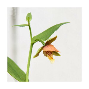 iR쑐jJLi`j@3i1|bgjixԁj