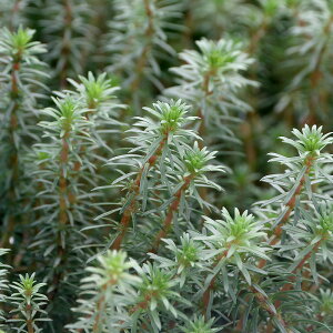 ij^spDV[\tH@J{WAYitji_ji10{j