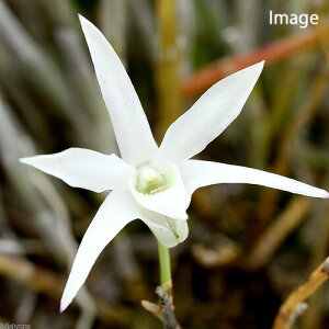 iR쑐jZbRNiΝ́Aj~jfĂ@3`5{i1jixԁj