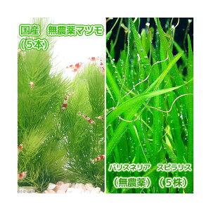 ijY@_}ci5{j{oXlA@XsXi_ji5j