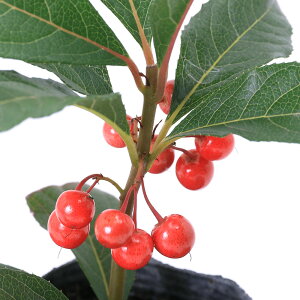 iR쑐j~́@\@uREWiMqj@2D5i1|bgj