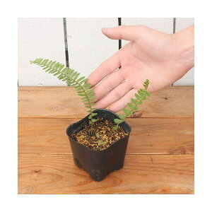 iR쑐jV_irj^}V_iʗrj3i1|bgjΐN