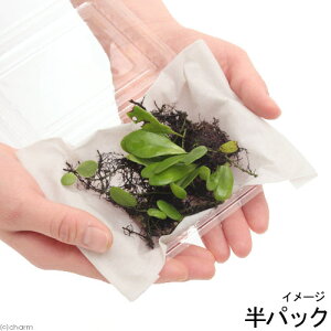 iR쑐jV_irjELE}d^@pbN@ΐN