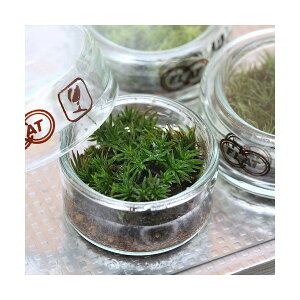 iϗtAjۃeE@XMSP@tbgV[@t@RPeE@ۃe@RPe@ہ@CeA