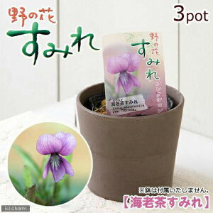 iR쑐jX~i俁jGr`X~iCV俁j2D5`3i3|bgZbgjixԁj