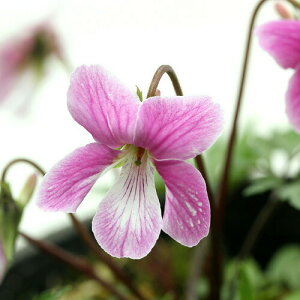 iR쑐jX~i俁jqcJX~@g߁ixjdj2D5`3i3|bgZbgjixԁj