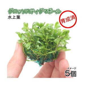 ij琬ρ@Ob\XeBO}{[itji_ji5j