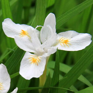 iR쑐jqVK@biPˊbj@3i1|bgjixԁj