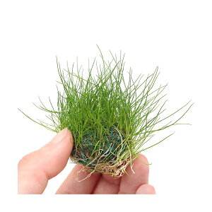 ij琬ρ@wA[OXV[g{[itji_ji1j