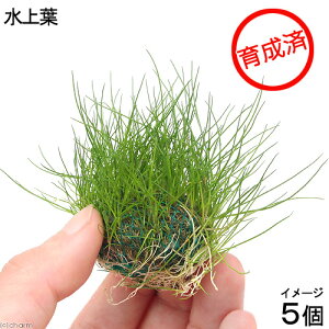 ij琬ρ@wA[OXV[g{[itji_ji5j