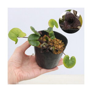 iR쑐j~`mNTCViאhj3i1|bgjixԁj