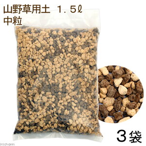 R쑐py@@1D5L@ʎi3܁j