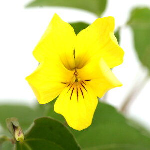 iR쑐jX~i俁jLX~i俁Eh俁j@2D5`3i1|bgj