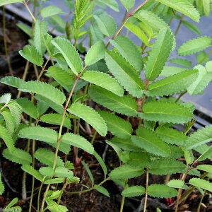 iR쑐jiK{mVREi䔒ᖒgj3i1|bgjixԁj