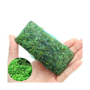 ijā@bNE[t@Ob\XeBO}@v[gitji_ji3j