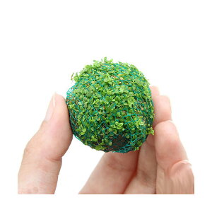 ijā@~bNX{[iwAV[{j[[Wp[jitji3j