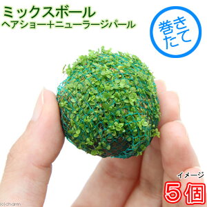 ijā@~bNX{[iwAV[{j[[Wp[jitji5j