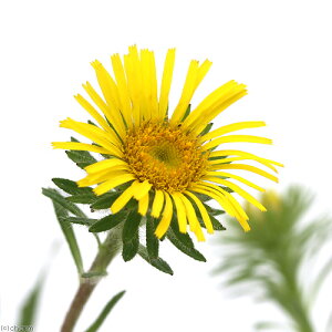 iR쑐jI[~YMNiej@3i1|bgjixԁj