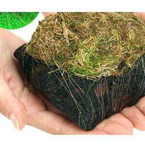 ijā@bNE[t@wA[OXV[g@n΁@MTCYi12`15cmjitji_ji1j