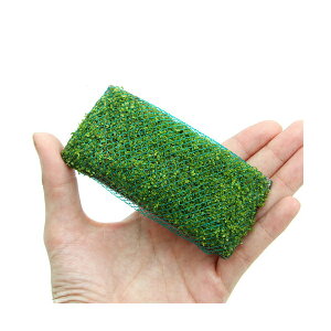 ijā@bNE[t@L[op[OX@v[gitji_ji1j