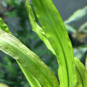 ijNvgRl@XsX@CFi[NYitji_ji1j@kCEBq֗vۉ