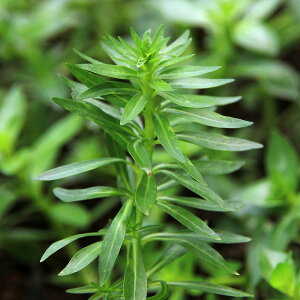 ijp^iO[slCgitji_ji2{j