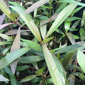 ijnCOtB@R_[^bh@XJցitji_ji10{j