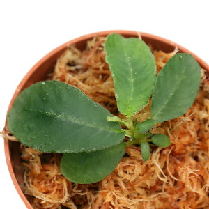 ieEjGgXe}spDTasik@Kenyiri1|bgj@kCEBq֗vۉ