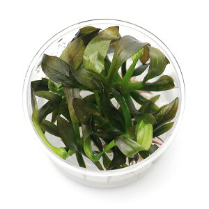 ijgD|{@GLmhX@t@V[cCXgi_ji1Jbvj@kCEBq֗vۉ