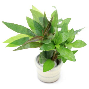 ij@nCO~bNXitji_ji1j