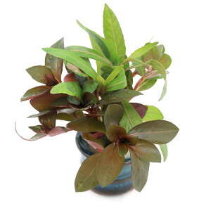 ij@gt~bNXitji_ji1j