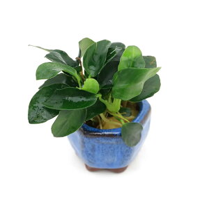 ij@AkrAX@iiv`itji1j