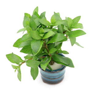 ij@nCOtB@|Xy}itji_ji1j