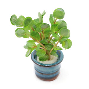 ij@^@gfBtHAitji_ji1j