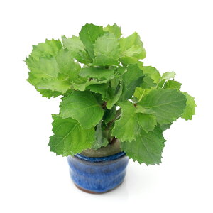 ij@EH[^[EBXeAitji_ji1j