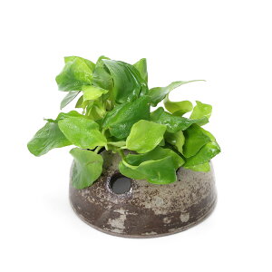 ijAkrAXii@S[f@vqăh[itji1j