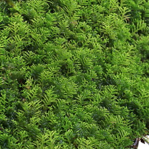 ieEjہ@XMoSP@tہ@CYipbNj